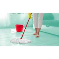 Best home cleaning services Logo