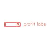 NYC SEO & PPC Management Agency - Profit Labs Logo