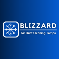 Blizzard Air Duct Cleaning - Tampa Logo