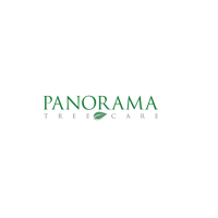 Panorama Tree Care: Tampa Tree Services Logo