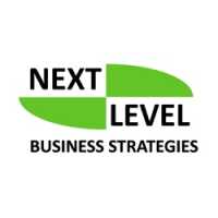 Next Level Business Strategies Logo