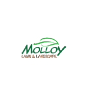 Molloy Lawn Logo
