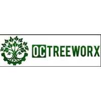 Fullerton Tree Experts Logo