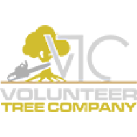 Volunteer Tree Company Logo