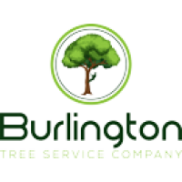 Burlington Tree Service Company Logo