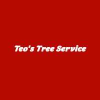 Teo's Tree Service Logo