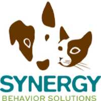 Synergy Veterinary Behavior Logo