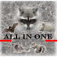 All In One Wildlife Removal LLC Logo