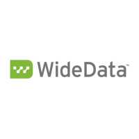 Widedata Corporation Logo