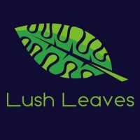 Lush Leaves Logo