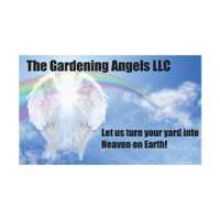 Angel Care Home Care, LLC Logo