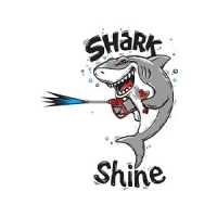 Shark Shine Auto Detail Logo