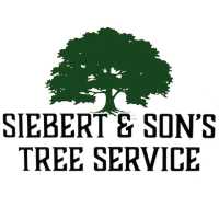 Siebert Trees Logo