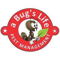 A Bug's Life Pest Management Logo