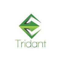 Tridant Logo