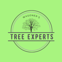 Wagoners Tree Experts Logo