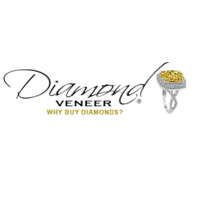 Diamond Veneer Travel jewelry Logo