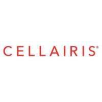 Cellairis Phone Repair inside Walmart Logo