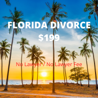 Florida Divorce Files Logo
