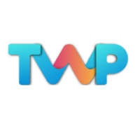 The Web Provider - Website Design Company Logo