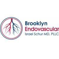 Brooklyn Endovascular - American Endovascular Logo
