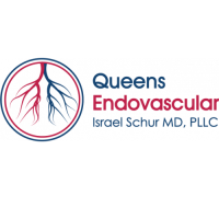 Queens Endovascular - American Endovascular Logo