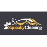 Squeaky Cleaning Fort Lauderdale Logo