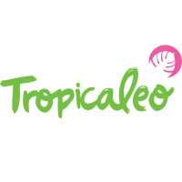 Tropicaleo Logo
