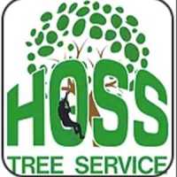 Hoss Tree Service Logo