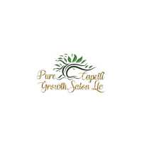 Pure Capelli Growth Salon LLC Logo