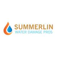 Summerlin Water Damage Pros Logo