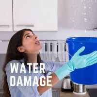 Water Damage Restoration | Ashburn, VA | FLOOD DOCTOR Logo