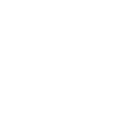 Vital Touch Therapeutics Logo