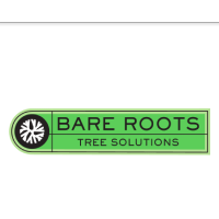 Bare Roots Tree Solutions Logo