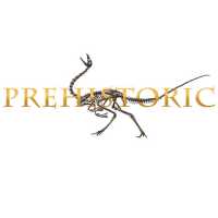 Prehistoric Florida Logo