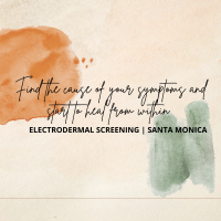 Whole You Electrodermal Screening Logo