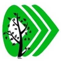 Hearty Tree Guys Logo