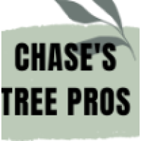 Chase's Tree Pros - Slidell Logo