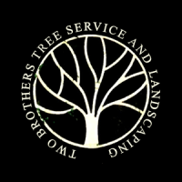 Two Brother's Tree Service Logo