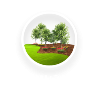 DFW Turfgrass Science LLC Logo