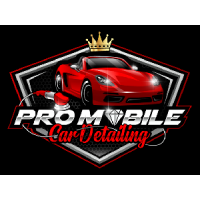 Pro Mobile Car Detailing Logo