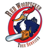 Red Woodpecker Tree Service Logo