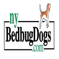 NY Bed Bug Dogs Logo