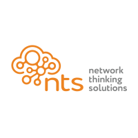 Network Thinking Solutions, Inc Logo