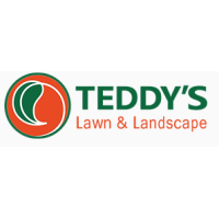 Teddy's Lawn & Landscape Logo