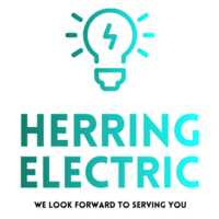 Herring Electric Company Logo