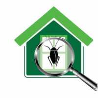 Ambush Pest Solutions INC Logo