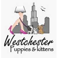 Westchester Puppies & Kittens Logo