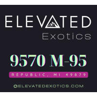 Elevated Exotics Logo