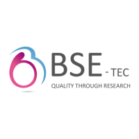 BSEtec - Custom Enterprise Solutions and Blockchain Development Company Logo